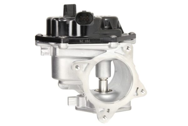 EGR клапан PIERBURG 7.24809.93.0